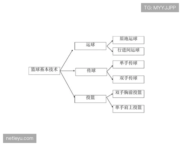 篮球比赛视频回放判罚规则：适用范围与具体解析